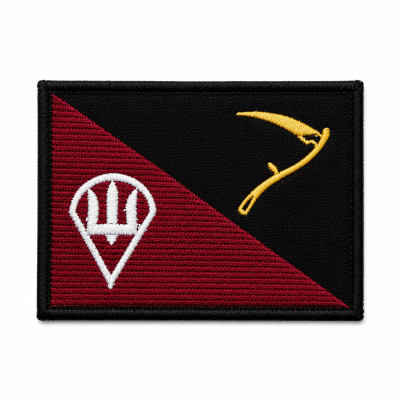 Embroidered Patch "NS Air Assault Forces"